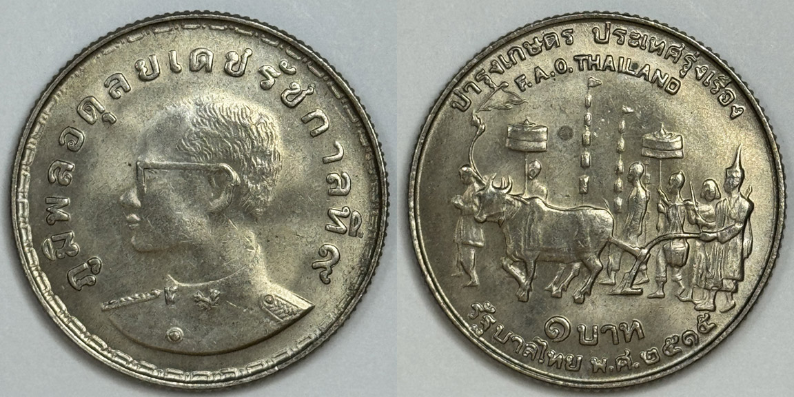 Bovine-Coins---Post-Yours