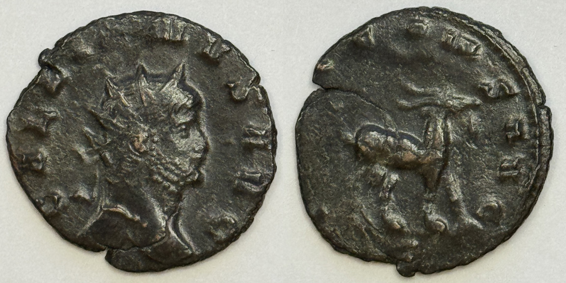 Post-Your-Coins-Representing-The-Animal-Kingdom.