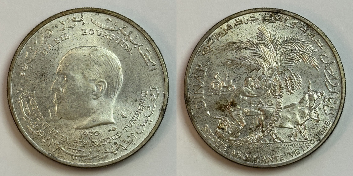 Continuing-List-To-Show-Everyones-Latest-Acquisitions