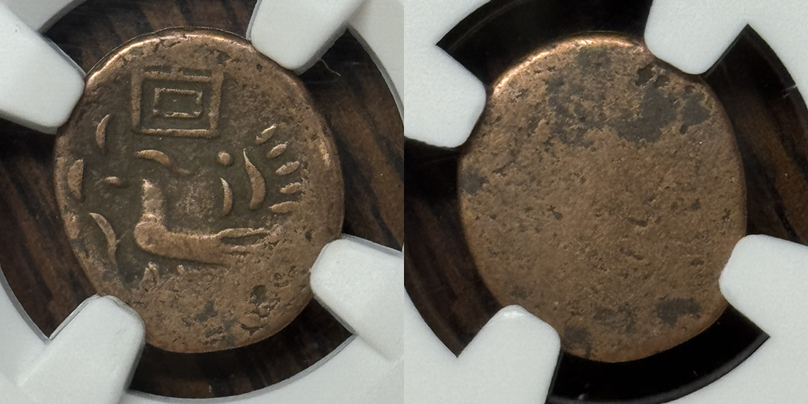 Post-Your-Bird-Coins