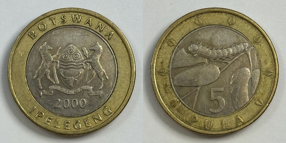 Post-Your-Coins-Depicting-Insects