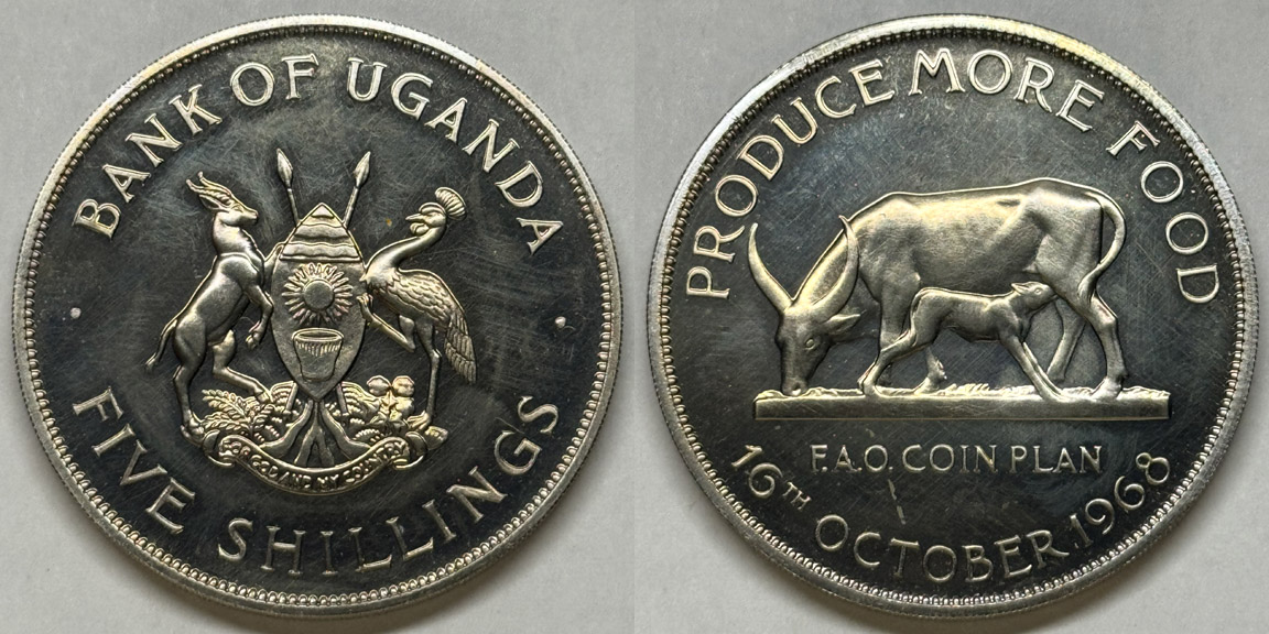 Post-Your-Coins-With-A-