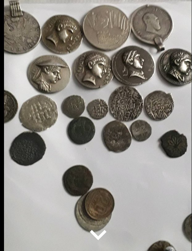 Needing-Help-In-Evaluating-These-Coins