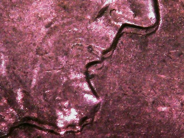 1984-Doubled-Die-Obverse-Penny---Extra-Ear-Lobe