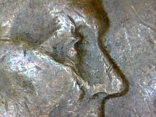 1944-D-Lincoln-Wheat-Penny---Double-Eyelid-Or-Not?