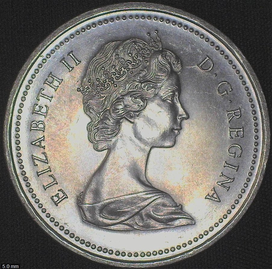 1873-1973-Canadian-Dollar-For-Grading-Please.
