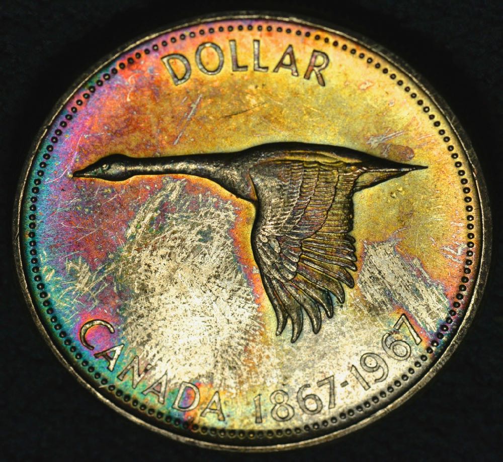 The-31-Days-Of-Canadian-Silver-Dollars