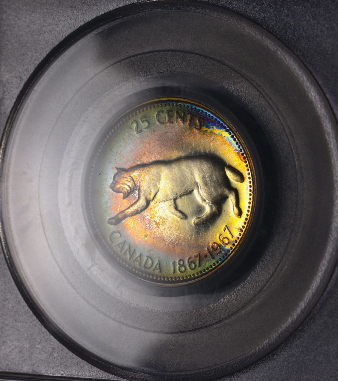 Eye-Candy-Corner:-Post-Your-Toned-Coins!