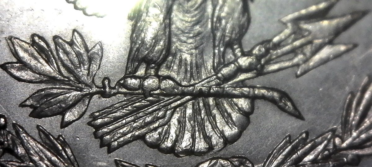 1878-8TF-Morgan,-Need-Help-Identifying-Possible-VAM