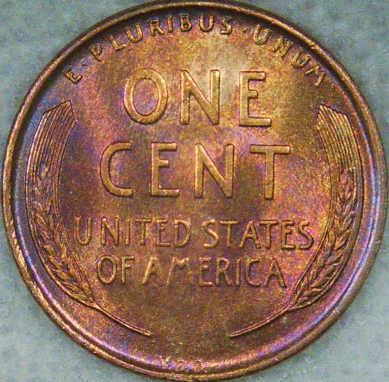 For-Grading---1909-VDB