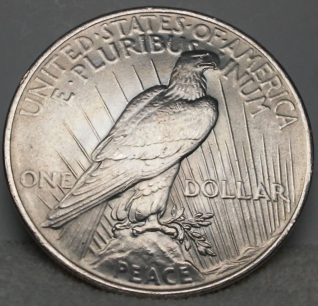 For-Grading---1923-Peace-Dollar