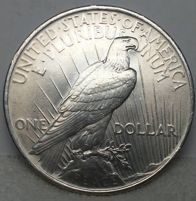 For-Grading---1923-Peace-Dollar