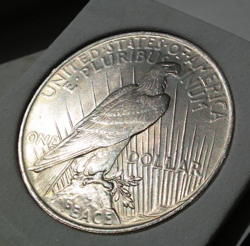For-Grading---1923-Peace-Dollar