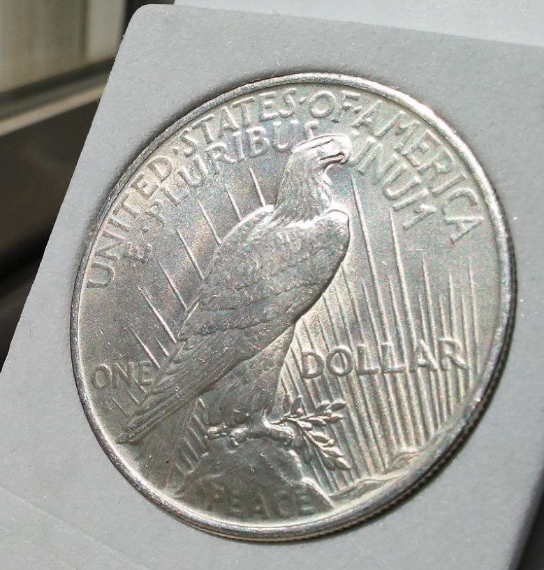 For-Grading---1923-Peace-Dollar
