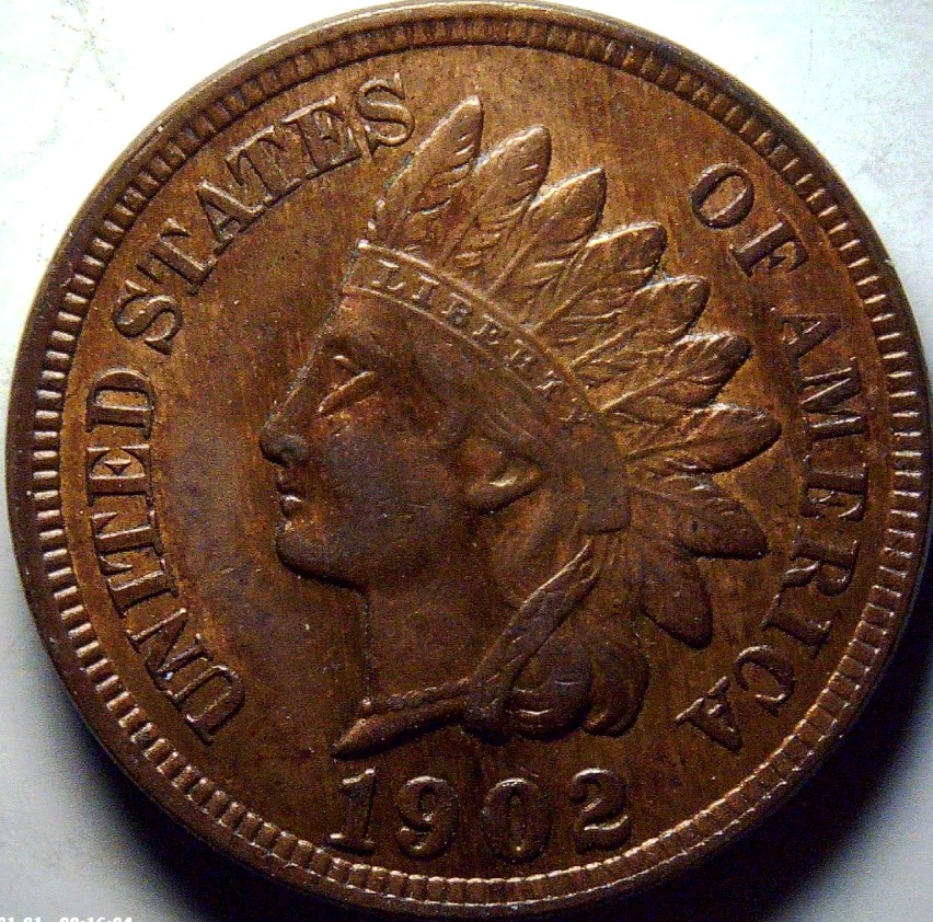 For-Grading---1902-Indian-Head-Cent