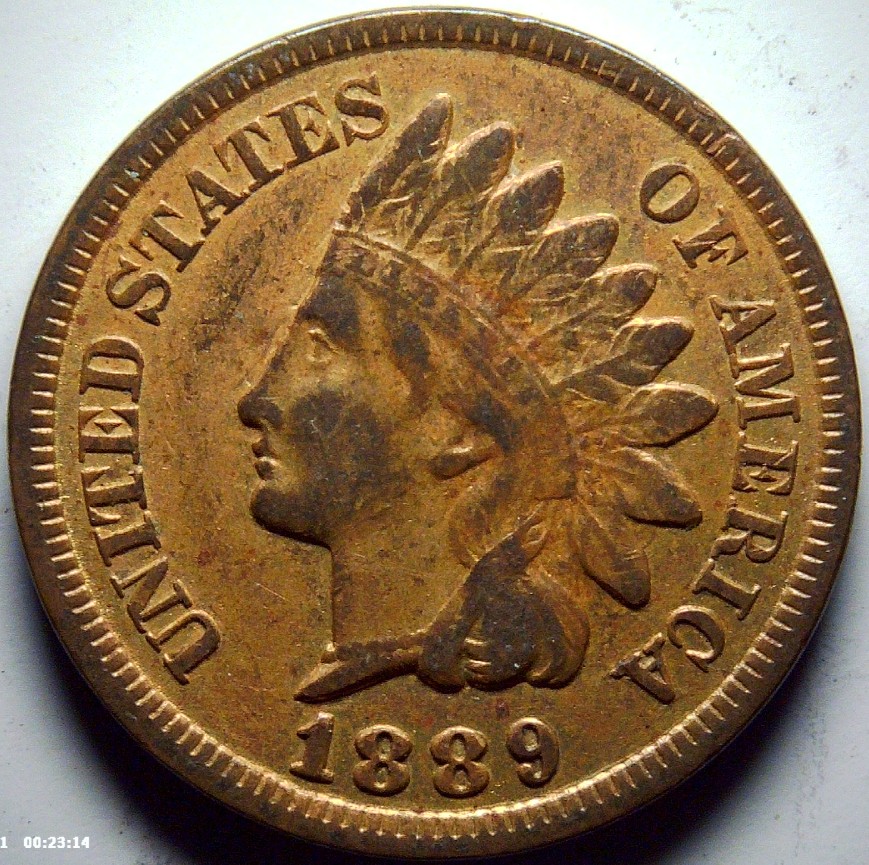Opinions-Wanted---1889-Indian-Head-Cent