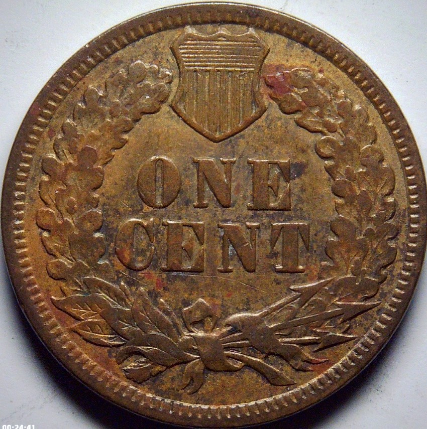 Opinions-Wanted---1889-Indian-Head-Cent