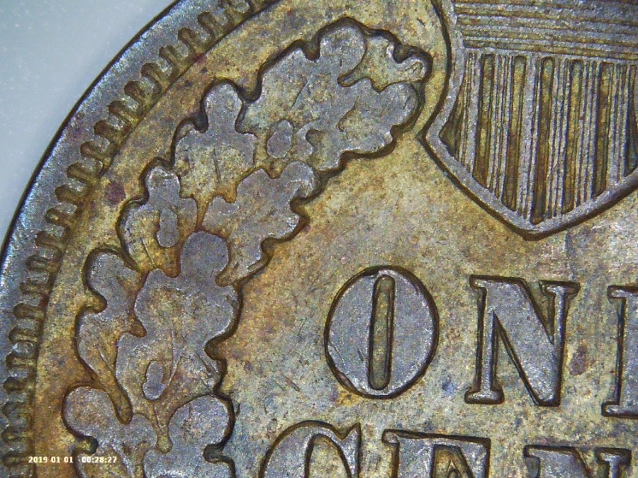 Opinions-Wanted---1889-Indian-Head-Cent