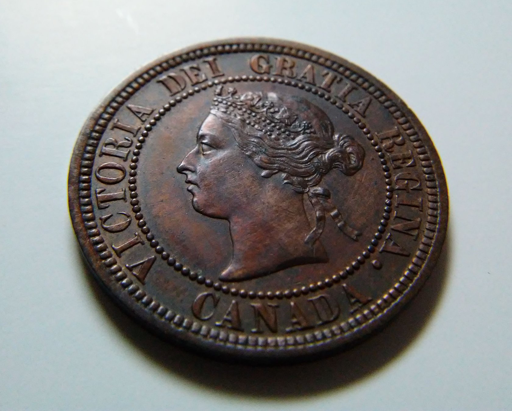 For-Grading---1881-H-Canada-Large-Cent