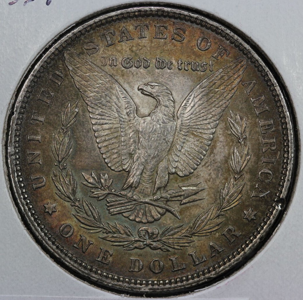 For-Grading---1896-Morgan