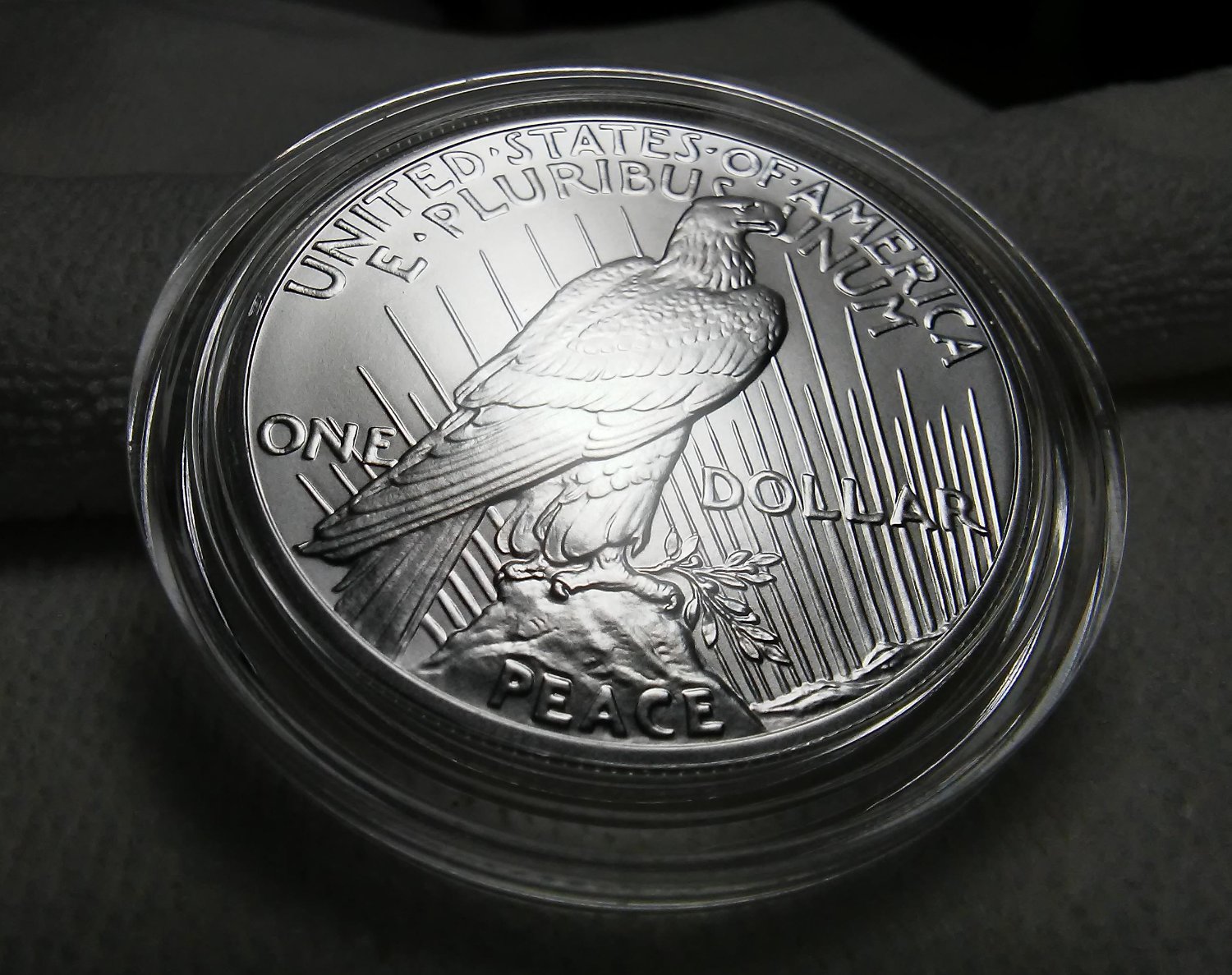 2021-Peace-Dollar---Struck-Through-Error?
