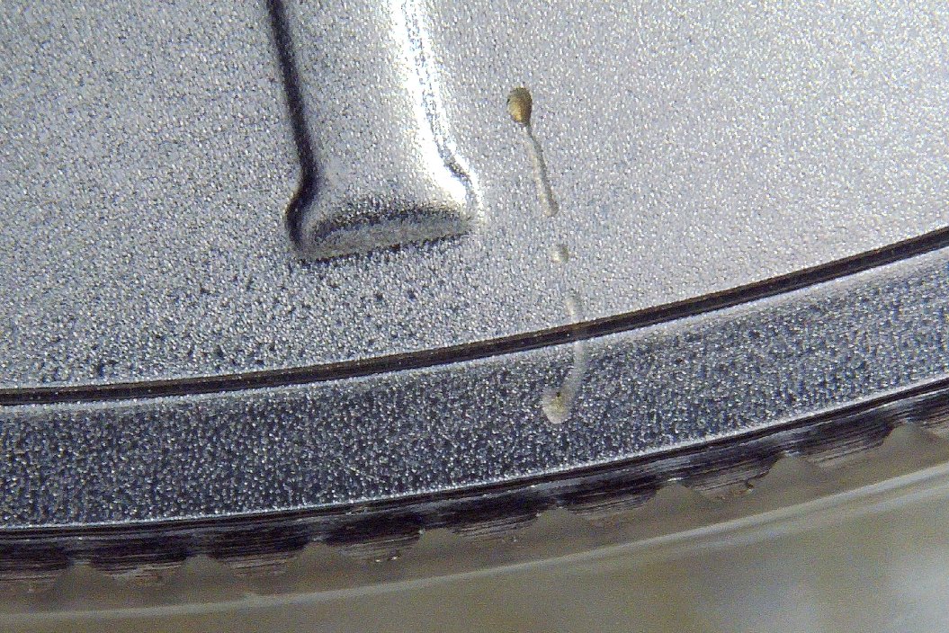 2021-Peace-Dollar---Struck-Through-Error?