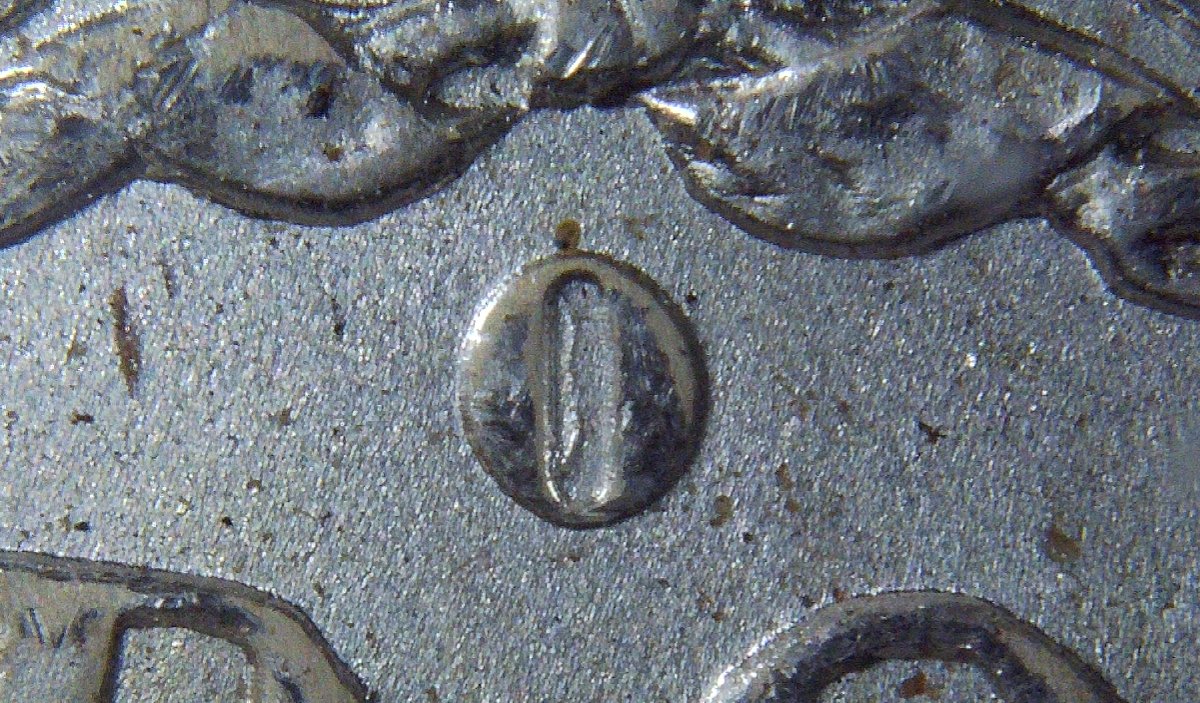 1884-O-Morgan-Dollar---VAM-Help