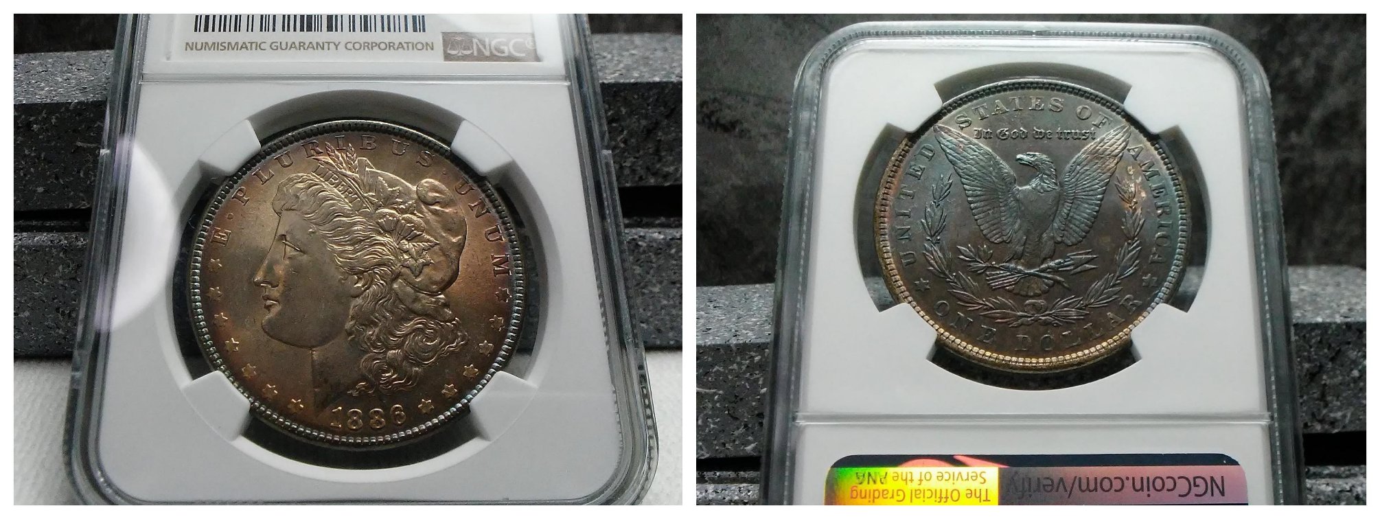Continuing-List-To-Show-Everyones-Latest-Acquisitions