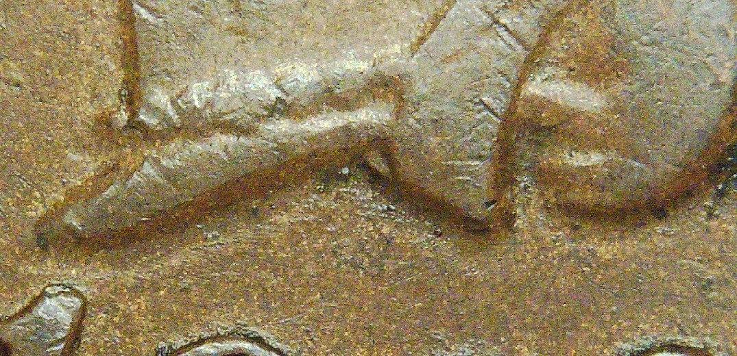 1883-Indian-Head-Cent---Snow-7?