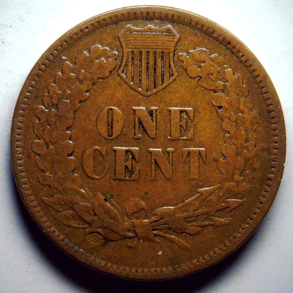 For-Grading---1881-Indian-Head-Cent