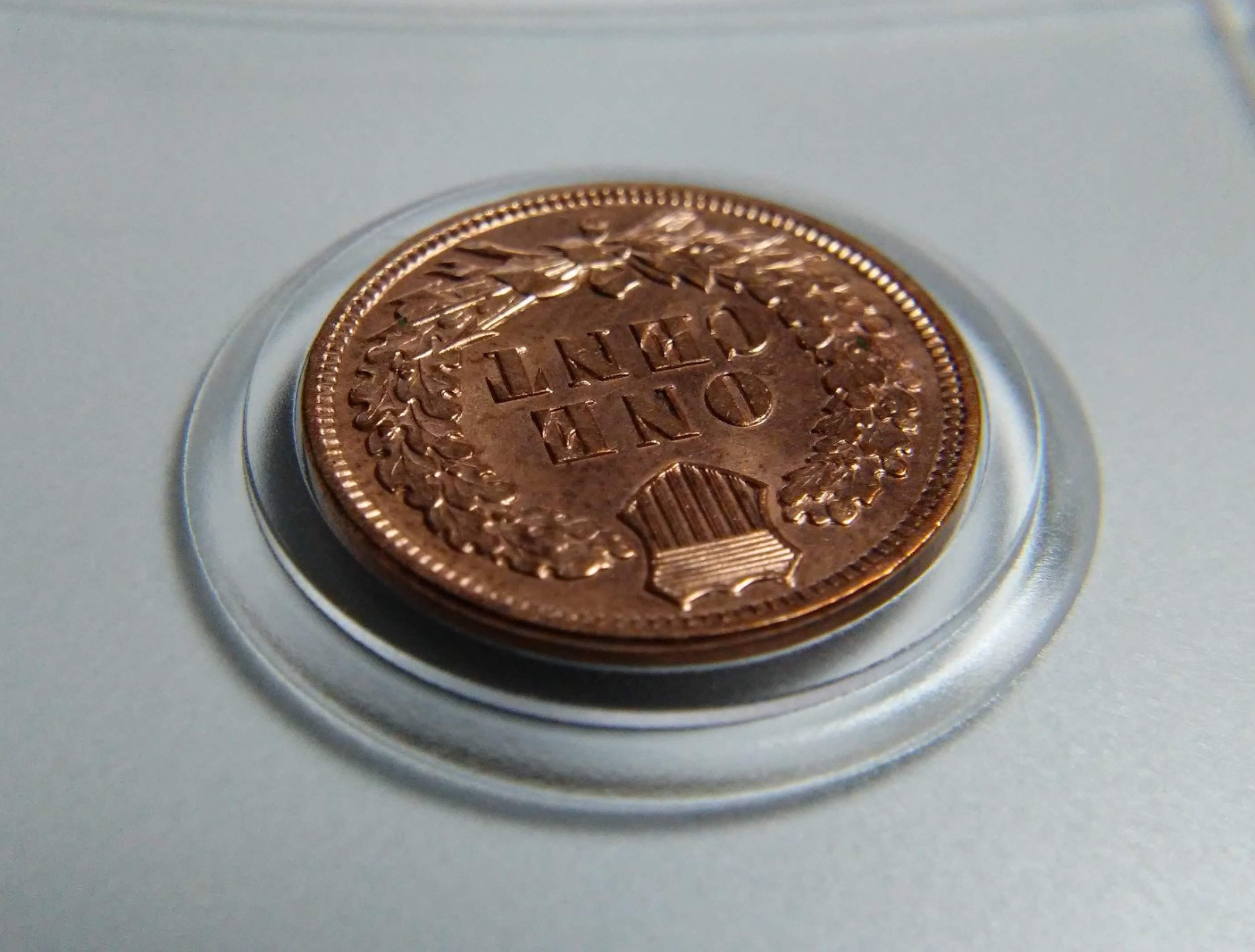 For-Grading---1908-Indian-Head-Cent