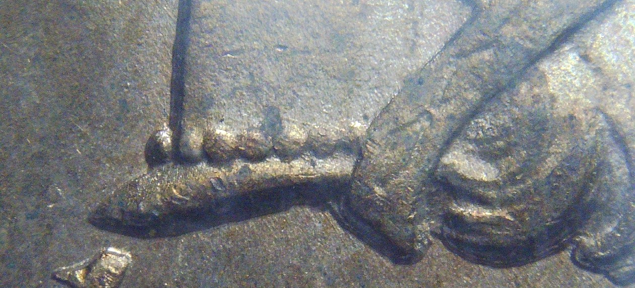 1883-Indian-Head-Cent---Snow-7?