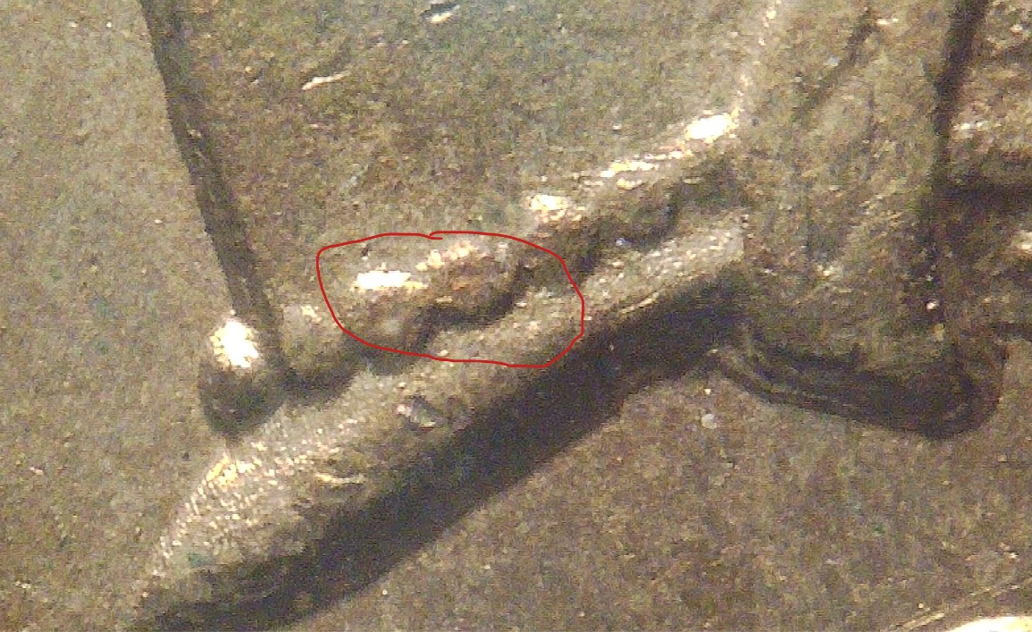 1883-Indian-Head-Cent---Snow-7?
