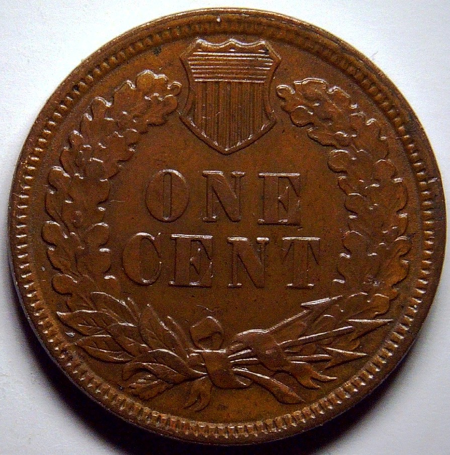 For-Grading---1881-Indian-Head-Cent