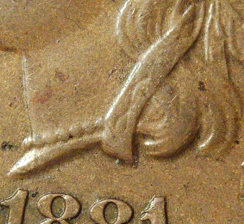For-Grading---1881-Indian-Head-Cent