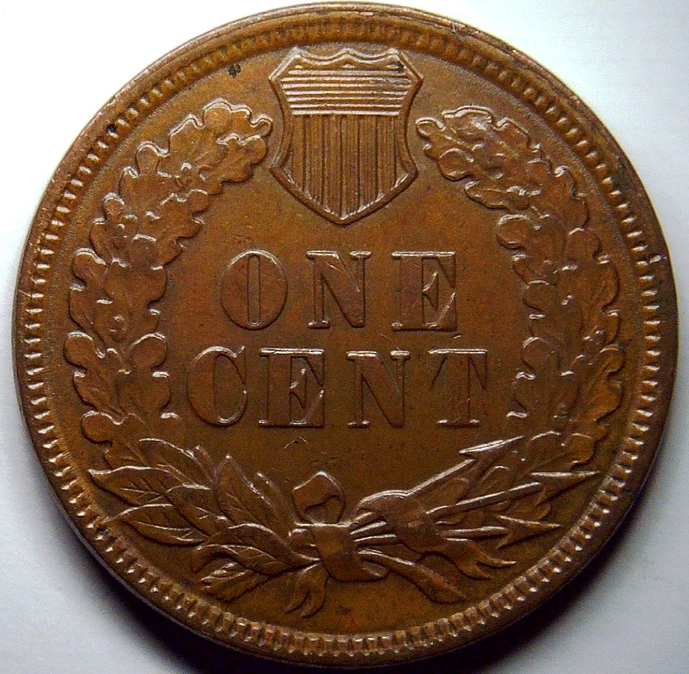 For-Grading---1881-Indian-Head-Cent
