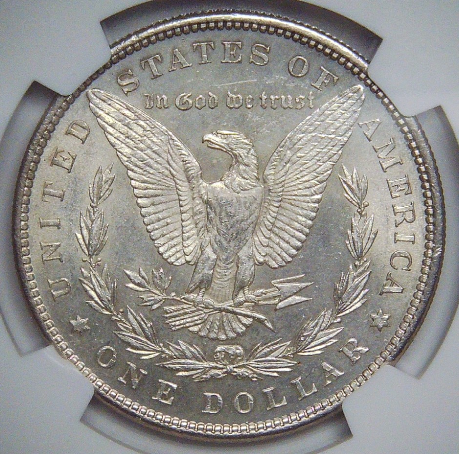 For-Grading-Vs-NGC---1880-P-Morgan-Dollar