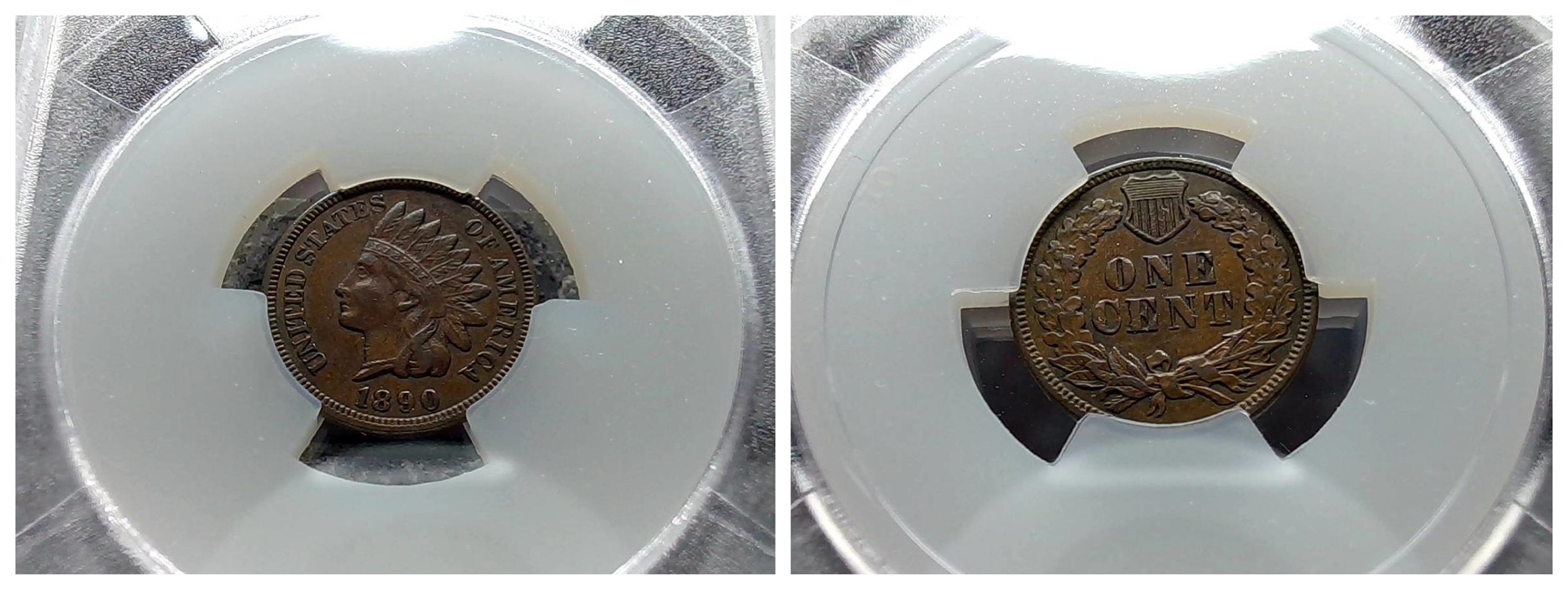 For-Grading---1890-Indian-Head-Cent