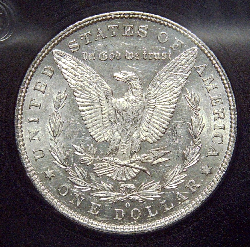 For-Grading---1881-O-Morgan-Dollar