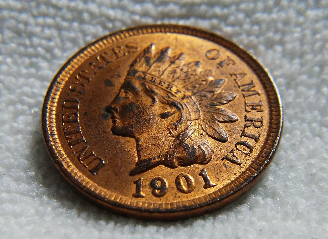 For-Grading---1901-Indian-Head-Cent