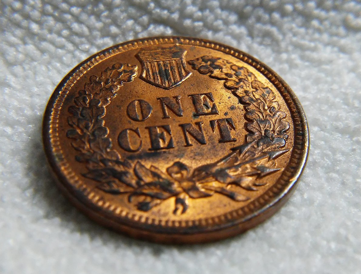 For-Grading---1901-Indian-Head-Cent