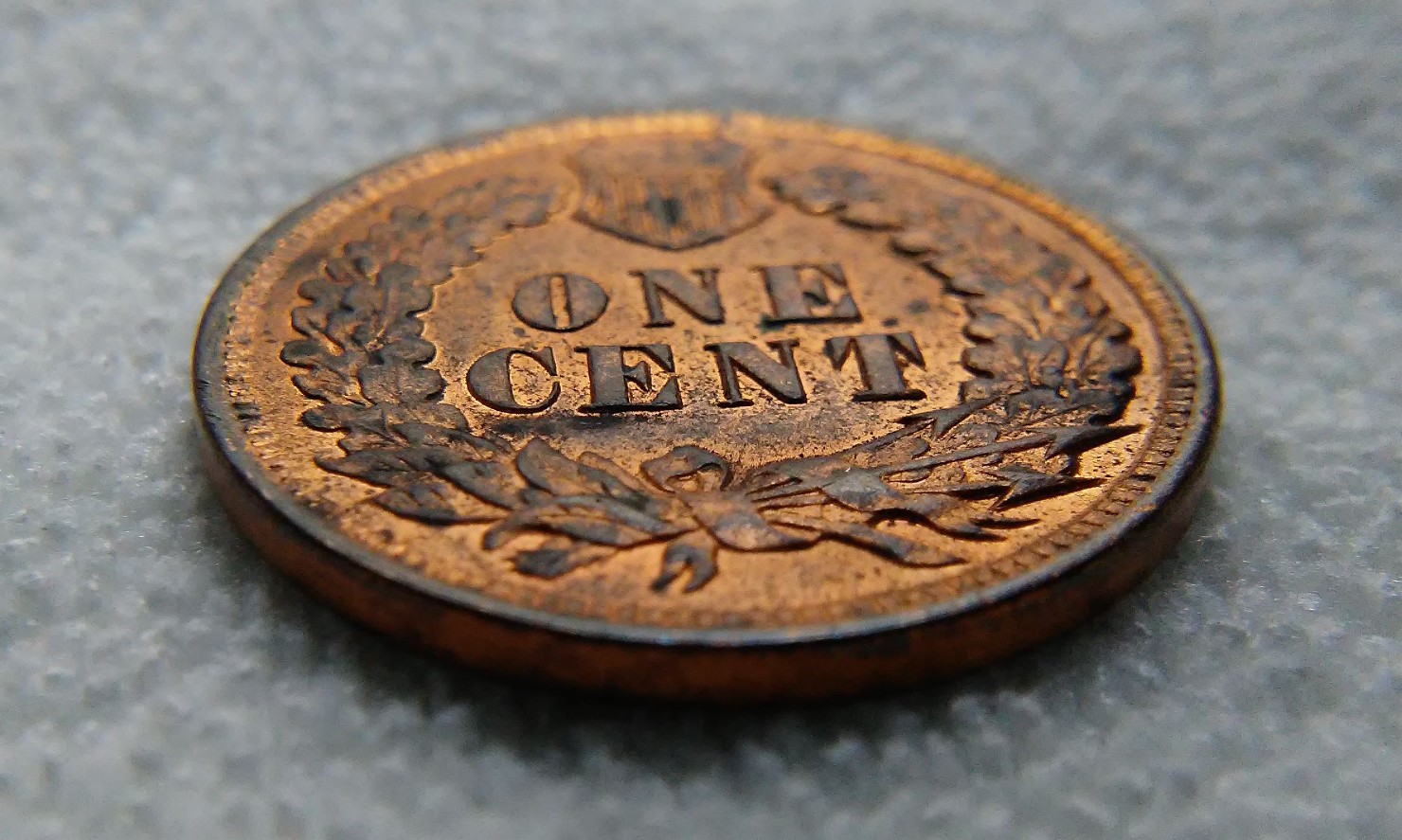 For-Grading---1901-Indian-Head-Cent