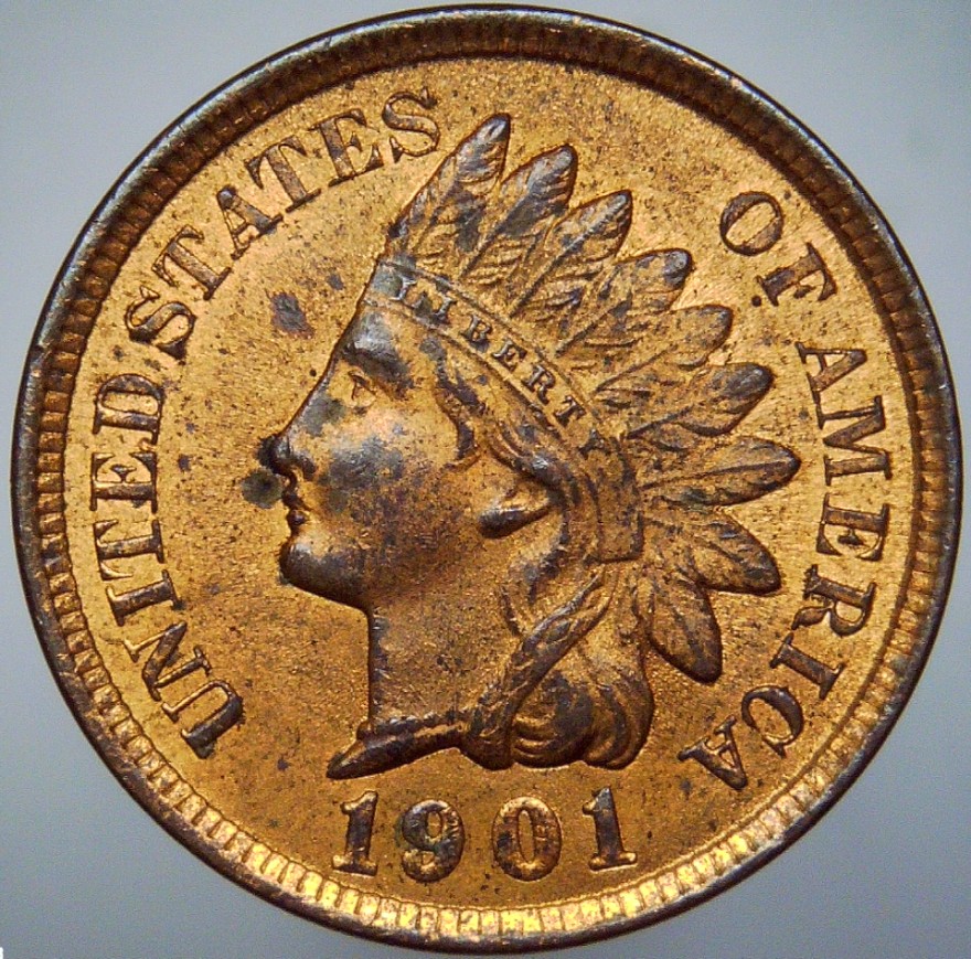For-Grading---1901-Indian-Head-Cent