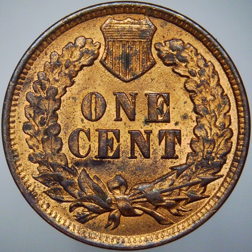 For-Grading---1901-Indian-Head-Cent