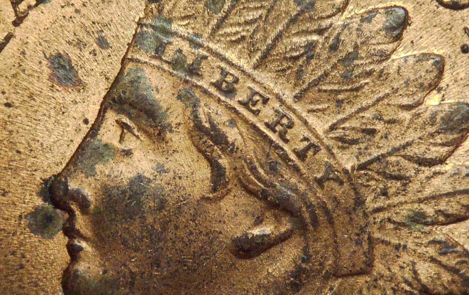 For-Grading---1901-Indian-Head-Cent