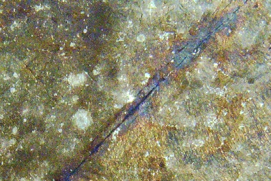 1956-Washington-Quarter---Die-Cracks