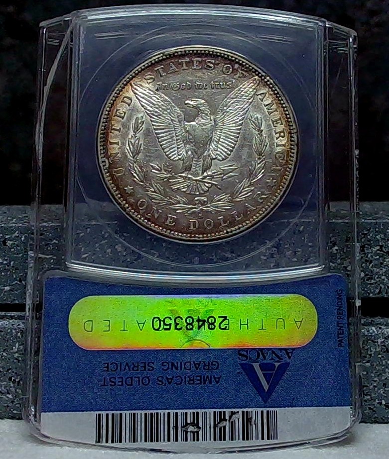 ANACS-Blue-Holder-7.0
