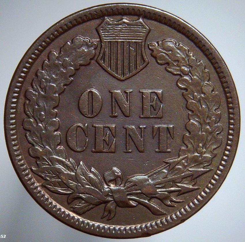 For-Grading---1884-Indian-Head-Cent