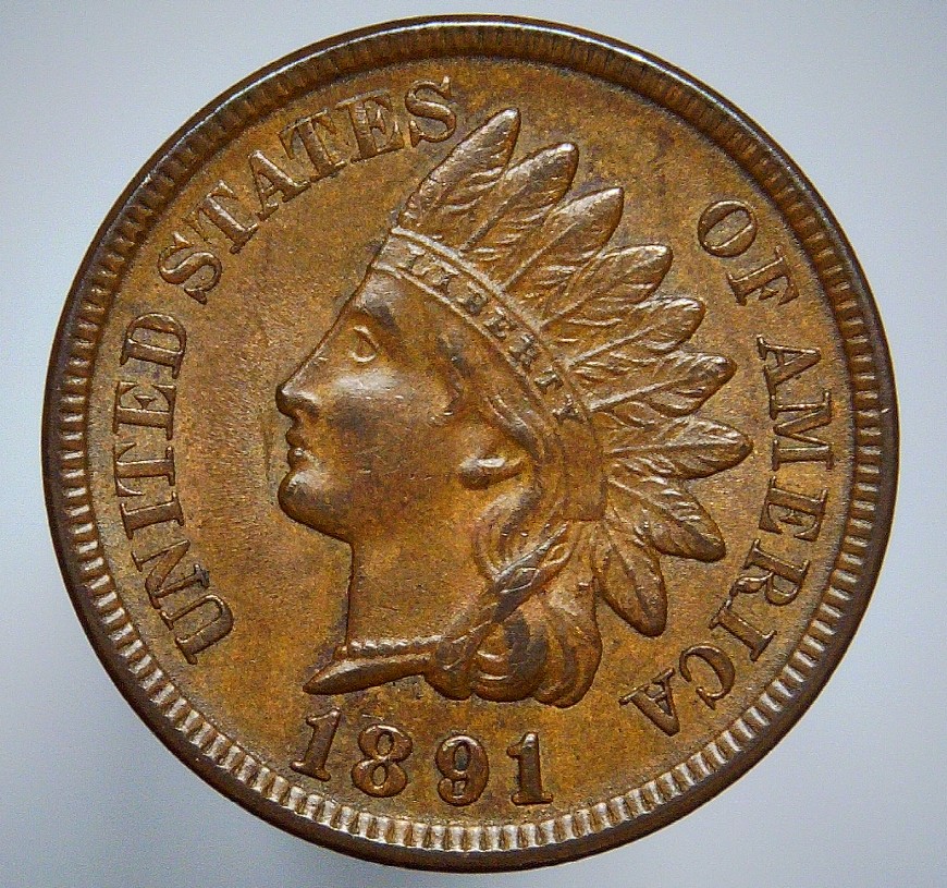 For-Grading---1891-Indian-Head-Cent