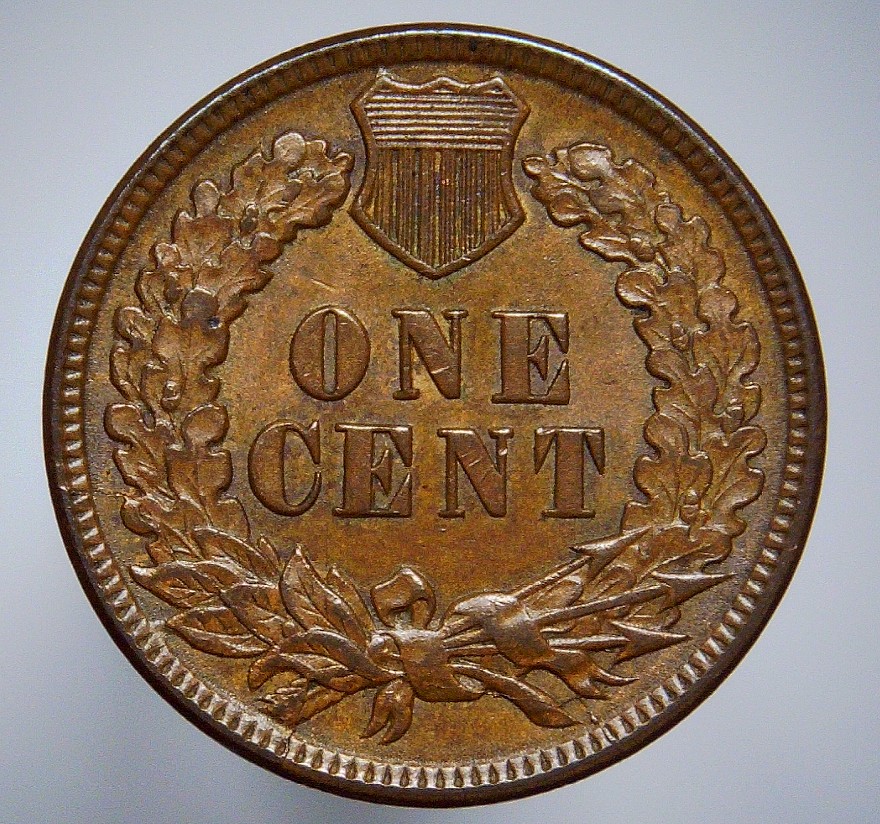 For-Grading---1891-Indian-Head-Cent